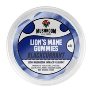 Mushroom Bears Blackberry – 40G