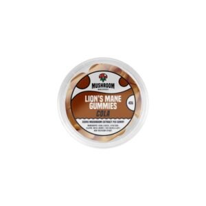 Mushroom Bears Cola – 40G